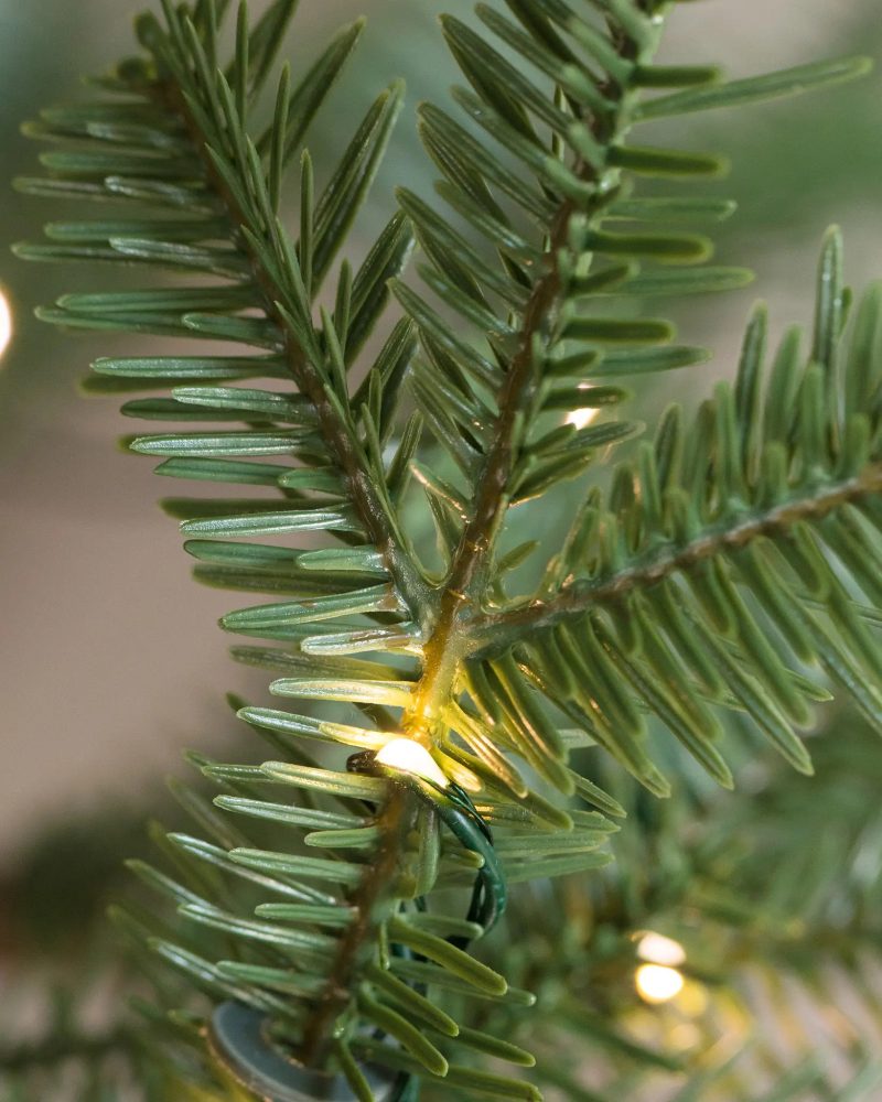 Alpine Tanne® Weihnachtsbaum