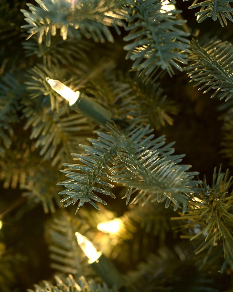 Tanne® Schmaler Weihnachtsbaum