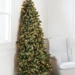 Europäische Tanne® Europäische Tanne®