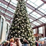 Gefrosteter Zuckerbaum®