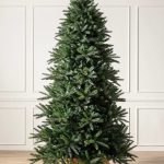 Weihnachtsbaum Waldkiefer