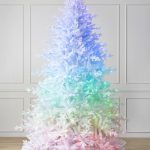 Tanne® Schmaler Weihnachtsbaum